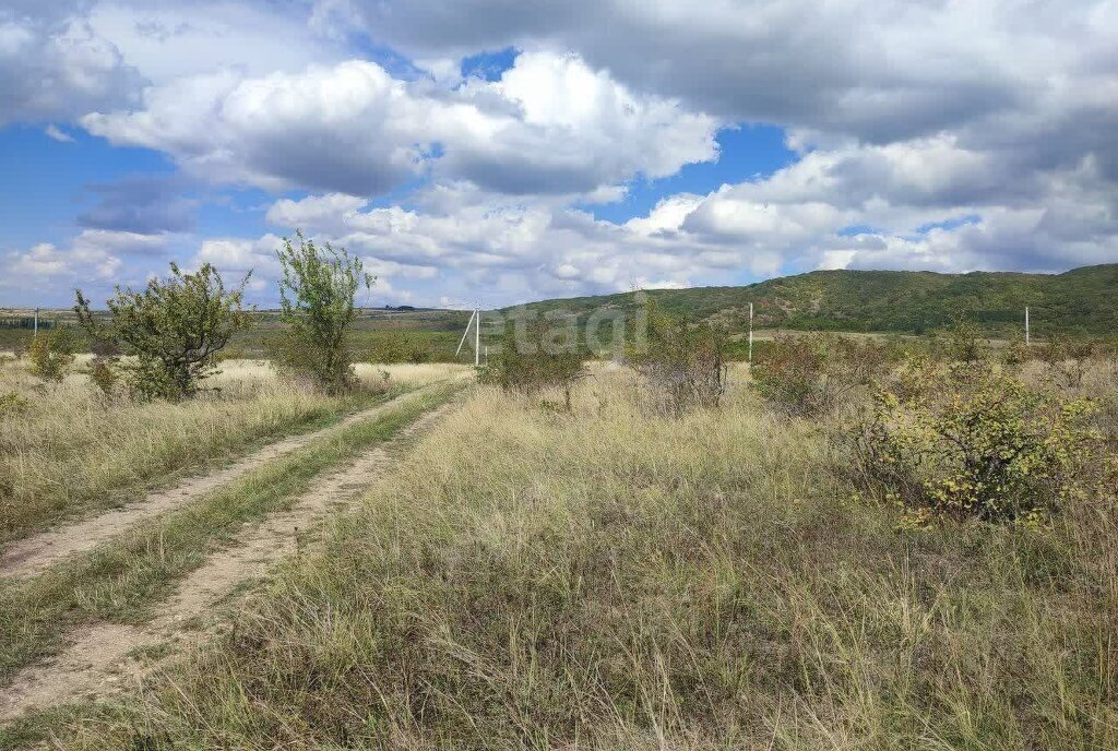 земля р-н Симферопольский с Дружное ул Полевая Трудовское сельское поселение фото 2