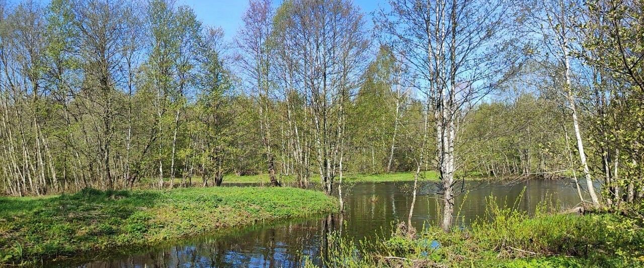 дом р-н Красногородский д Иванцево фото 18