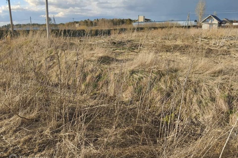 земля р-н Приозерский пос. Солнечное фото 1