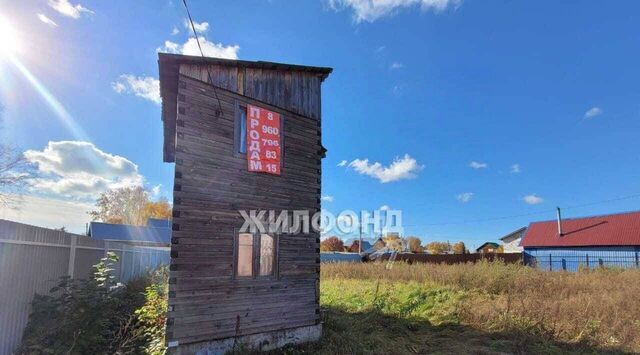 земля Морской сельсовет, Шафран садовое товарищество фото