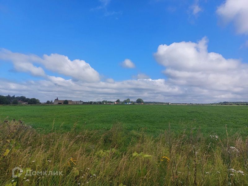 земля р-н Ломоносовский с Копорье ул Благодатная фото 2