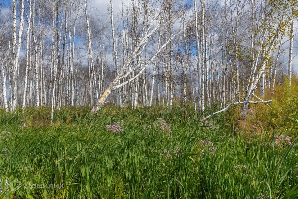 земля г Тюмень Тюмень городской округ, Ленинский фото 8