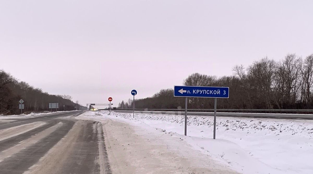 дом р-н Новосибирский п Крупской Верх-Тулинский сельсовет, ул. 2-й Квартал фото 1