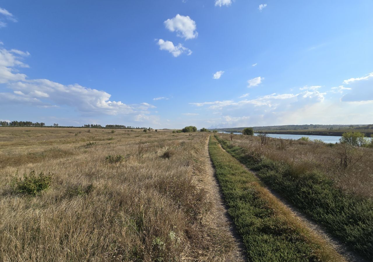 земля р-н Рамонский рп Рамонь Горожанское сельское поселение фото 1