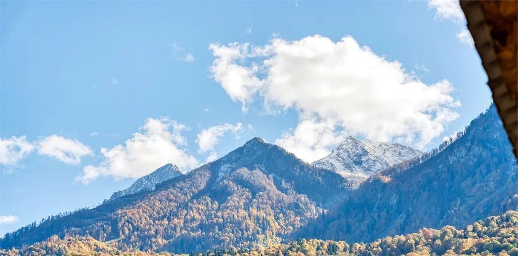 комната г Сочи пгт Красная Поляна ул Загородная 2 фото 5