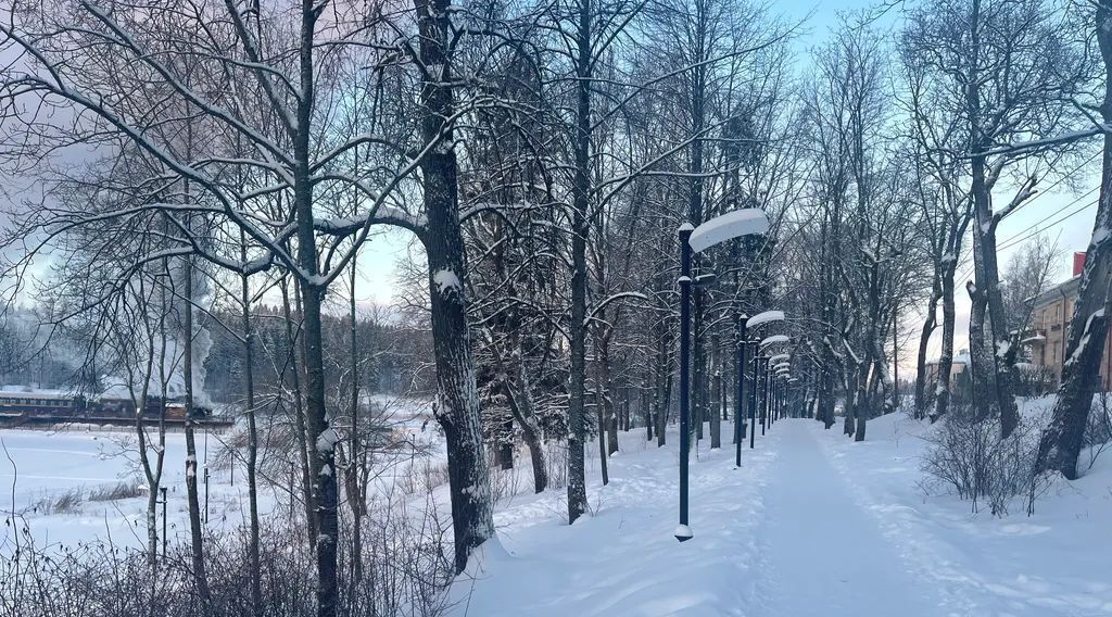 квартира г Сортавала ул Ленина 22 Сортавальское городское поселение фото 19