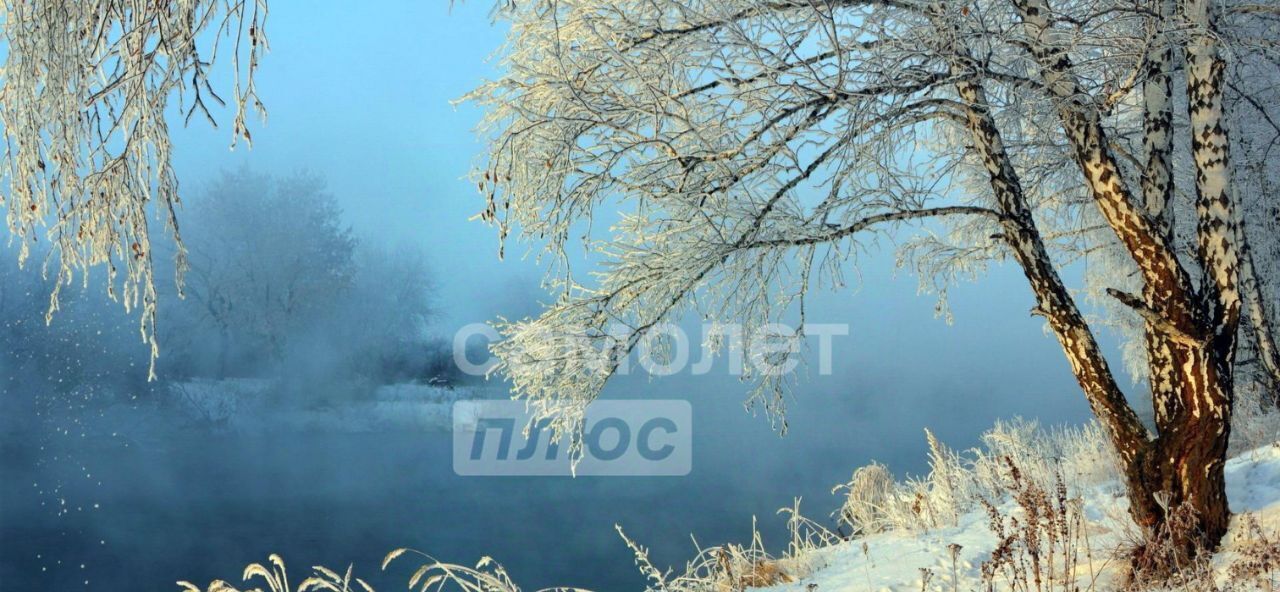 земля городской округ Ступино д Гридюкино ул Рябиновая Михнево фото 10