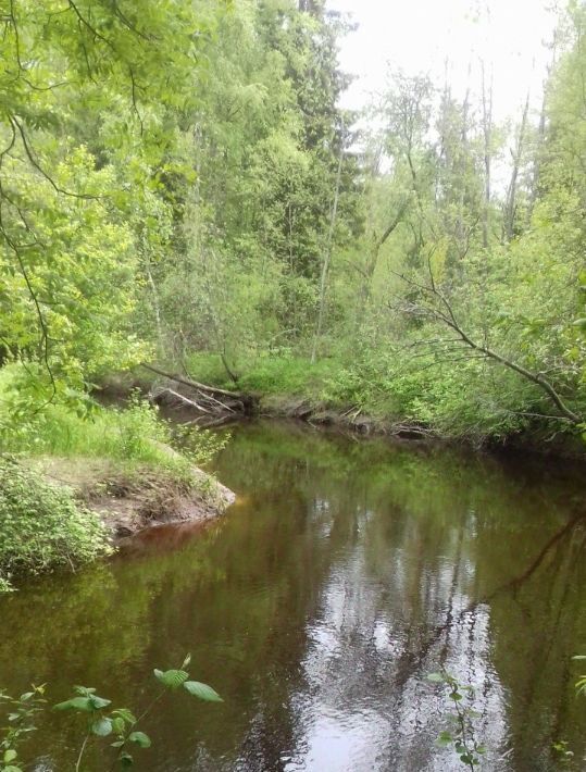 земля р-н Выборгский п Горьковское Полянское с/пос, Беговая фото 12