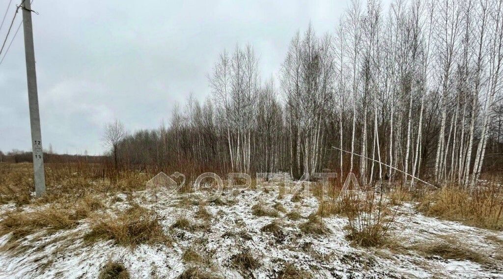 земля р-н Тюменский с Горьковка ул Сибирская фото 10