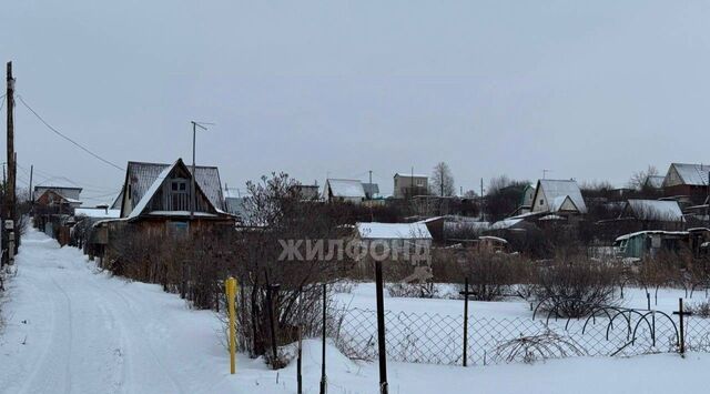 снт Озерное ул Цветочная садоводческое товарищество фото