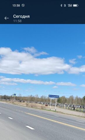 Новоталицкое с/пос фото Новоталицкое с/пос фото