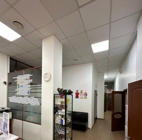 свободного назначения г Казань р-н Советский ул Габдуллы Кариева 12 фото 6