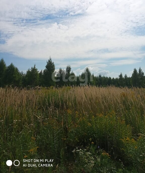 земля р-н Богородицкий х Шахтерский сельское поселение Бегичевское фото 5