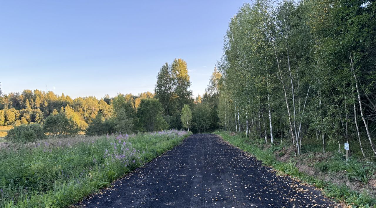 земля городской округ Дмитровский Форест Клаб кп, 4 фото 16