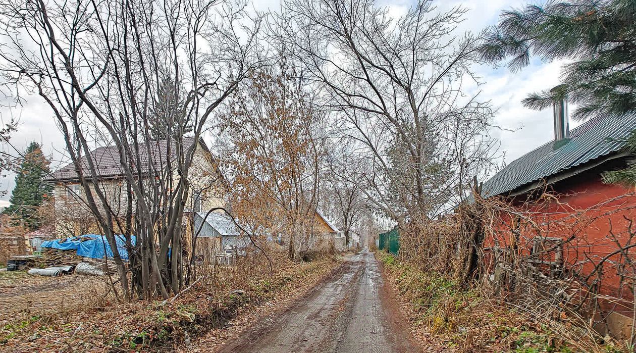 земля г Новосибирск р-н Дзержинский Берёзовая роща снт Пенсионер-учитель фото 11