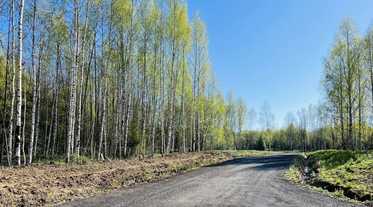 земля городской округ Сергиево-Посадский Яркое кп фото 7