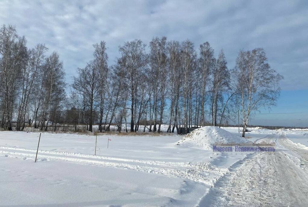 земля р-н Первомайский с Фирсово мкр Березовый мыс Санниковский сельсовет фото 3