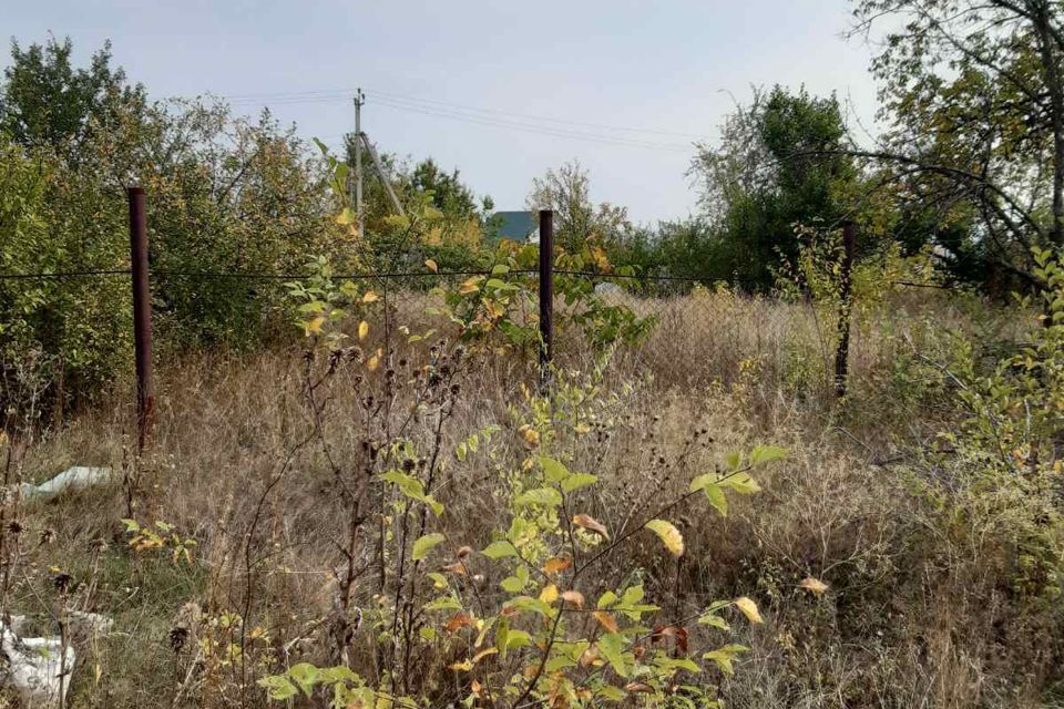 земля Саратов городской округ, СНТ Бриз фото 3