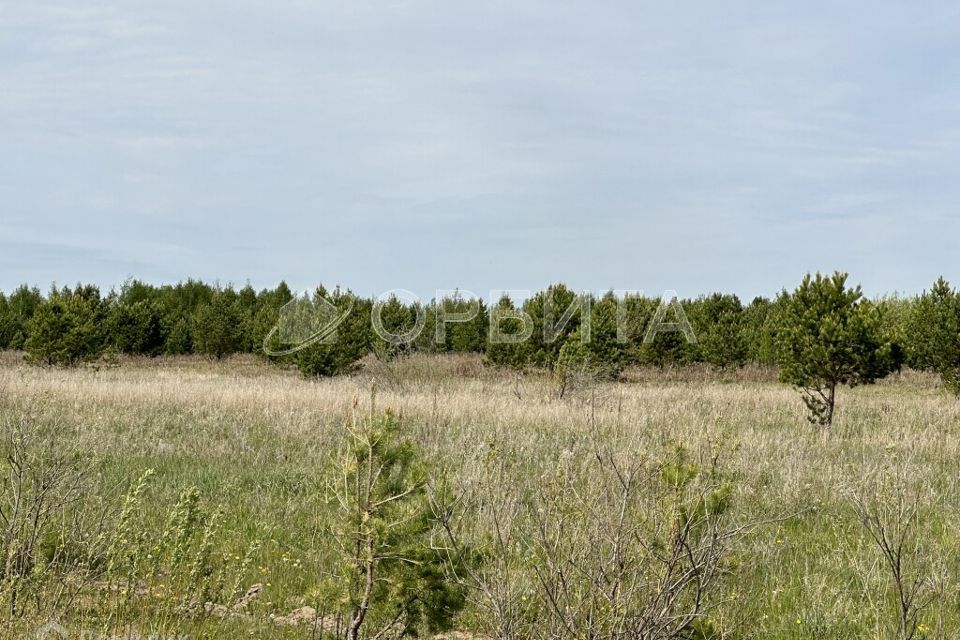 земля р-н Тюменский с Горьковка Совхозная фото 3