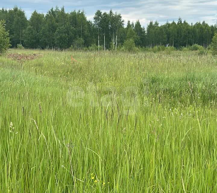 земля р-н Нерехтский г Нерехта ул Кутузова 44 городское поселение Нерехта фото 1