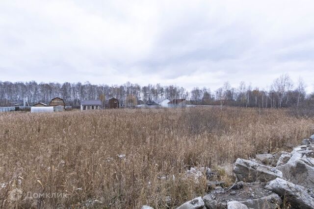 Тюмень городской округ, улица Поле чудес фото