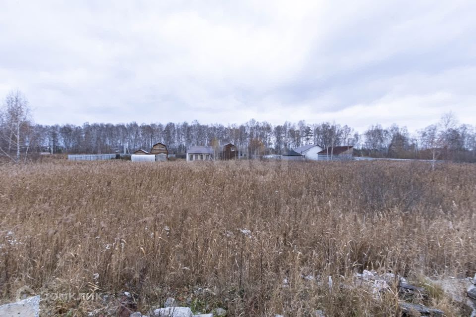 земля г Тюмень Тюмень городской округ, улица Поле чудес фото 8