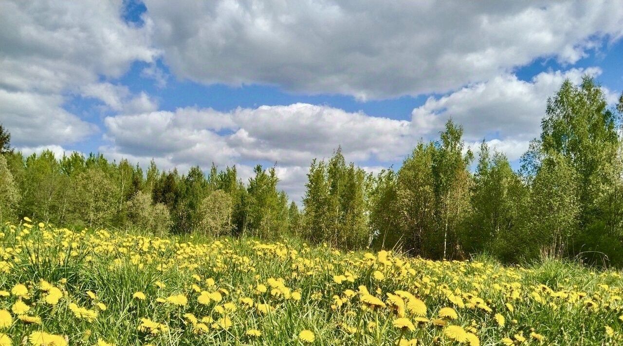 земля р-н Лужский п Мшинская Мшинское с/пос, Проспект Ветеранов, 468, Нева СНТ фото 3