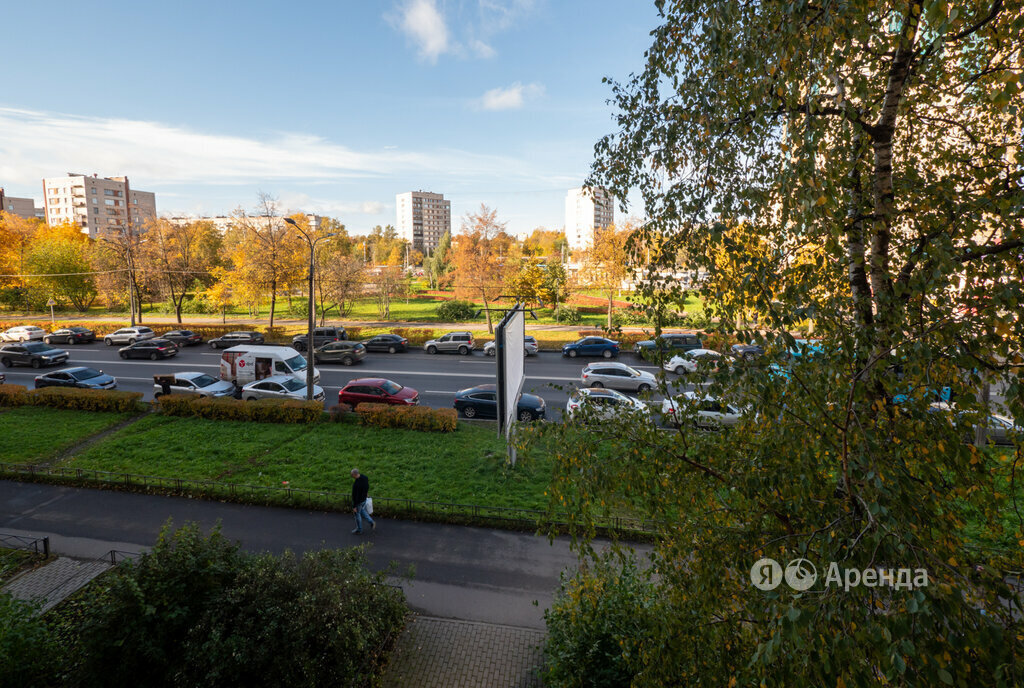 квартира г Санкт-Петербург метро Проспект Ветеранов б-р Новаторов 116 округ Дачное фото 17