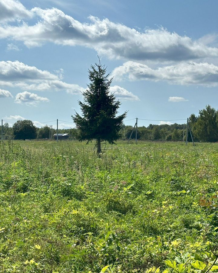 земля городской округ Клин д Вертково 69 км, Новопетровское, Новорижское шоссе фото 28