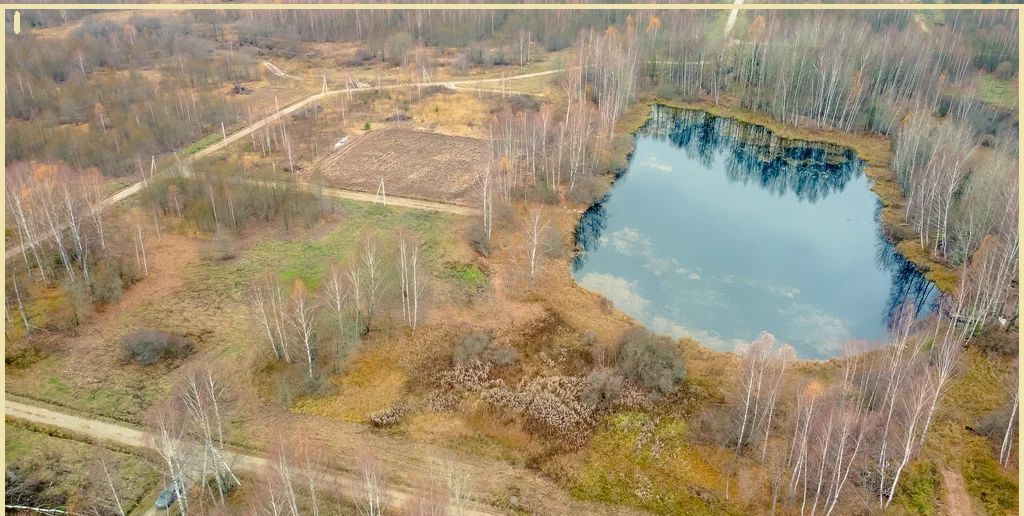 земля городской округ Клин д Мисирёво 61 км, Клин, Ленинградское шоссе фото 3