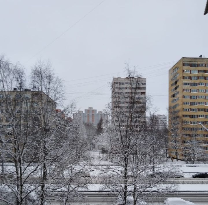 квартира г Санкт-Петербург метро Проспект Просвещения пр-кт Художников 24к/1 округ Сергиевское фото 17