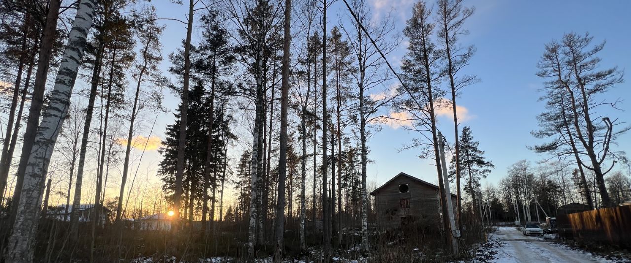 земля р-н Всеволожский п Новое Токсово Токсовское городское поселение, Эко Токсово кп фото 5