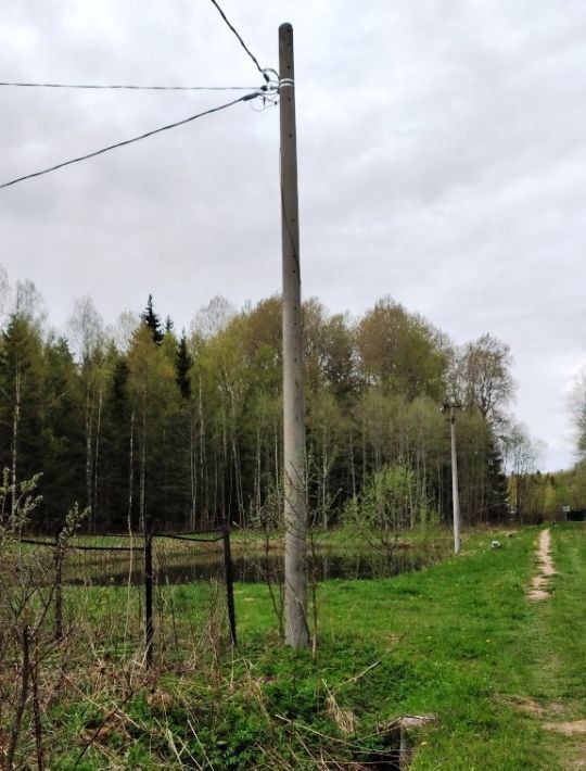 земля городской округ Шаховская д Городково снт Корешки 45 фото 13