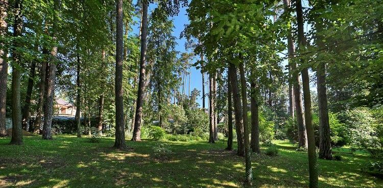 дом городской округ Одинцовский п Заречье Рапс ДНП, Одинцово, 30 фото 3