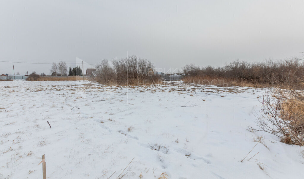 земля р-н Тюменский снт Автомобилист-2 фото 4