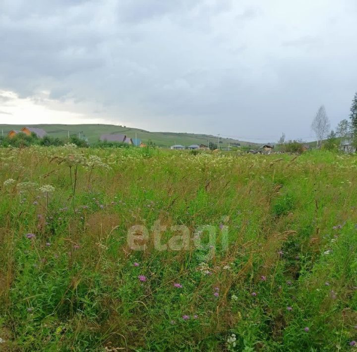 земля р-н Майминский п Алферово ул И.М.Самарина фото 3