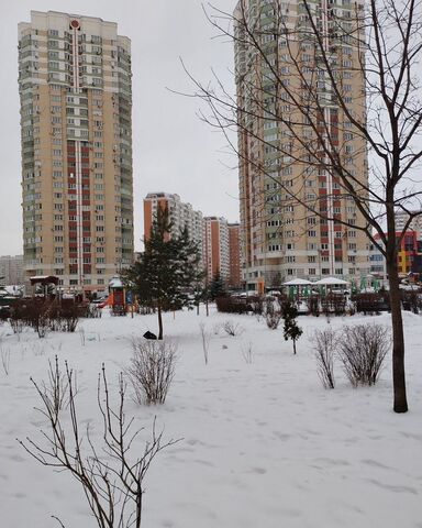 метро Некрасовка ул Льва Яшина 9 микрорайон «Некрасовка-Парк» муниципальный округ Некрасовка фото