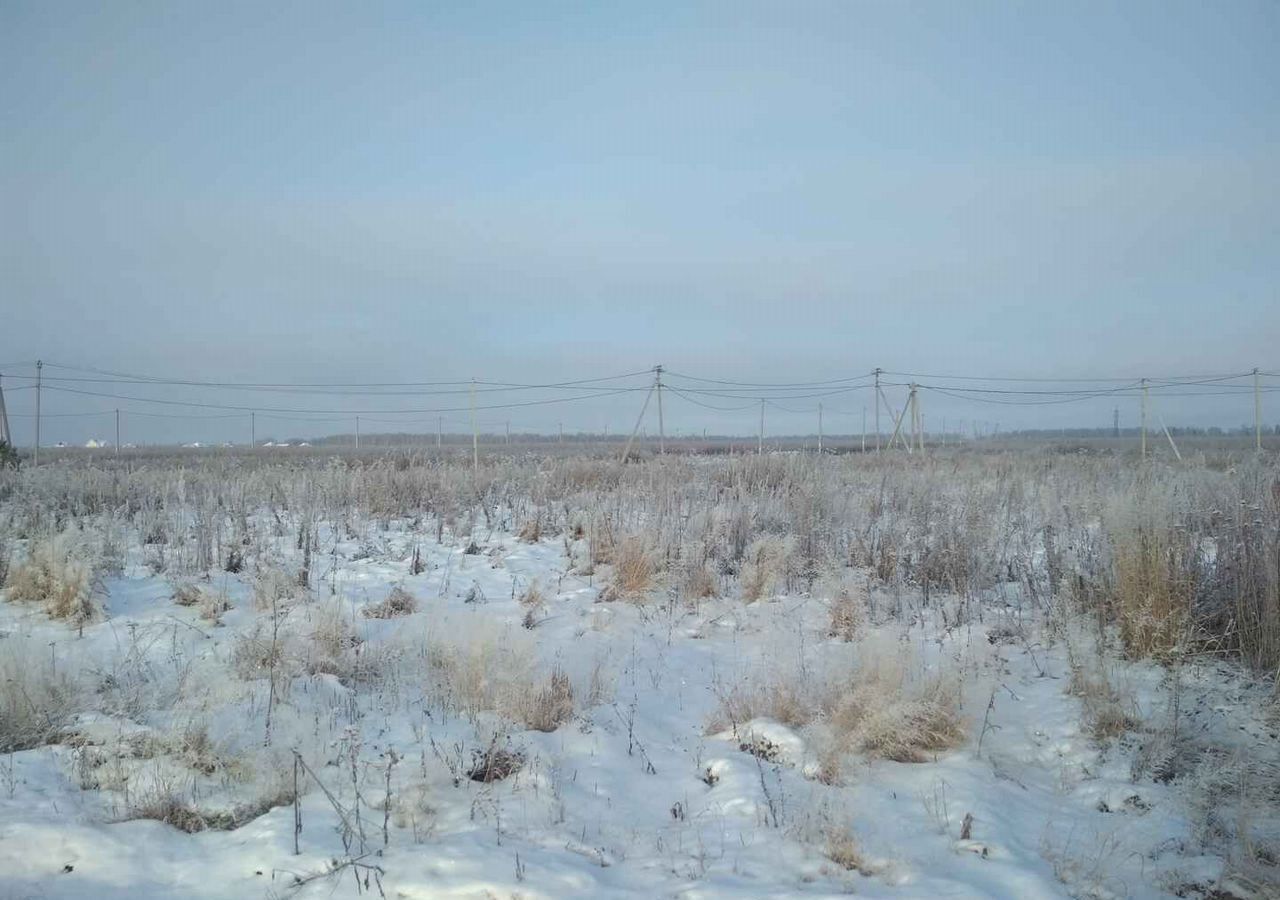 земля р-н Нижнетавдинский с Тюнево Тюмень фото 2