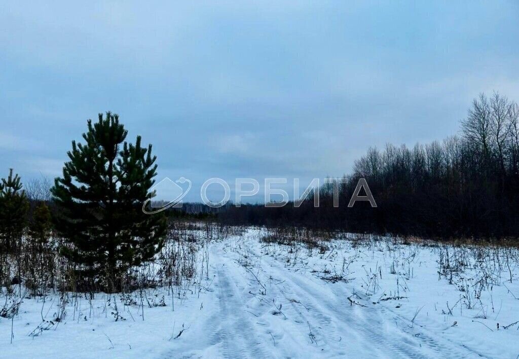 земля р-н Тюменский с Горьковка Горьковское муниципальное образование, Тюмень фото 12