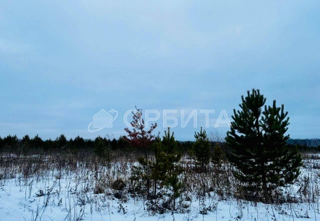 земля р-н Тюменский с Горьковка Горьковское муниципальное образование, Тюмень фото 14