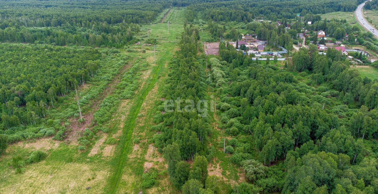 земля р-н Нижнетавдинский снт тер.Разбахта Тюмень фото 21