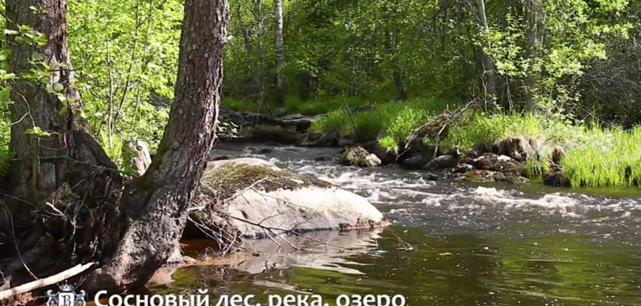 дом р-н Выборгский Верховский ДНТ ул Сестрорецкая Трасса Скандинавия, 83 км, Гончаровское сельское поселение, Гаврилово фото 29