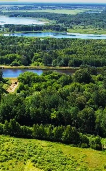 земля городской округ Дмитровский д Базарово ул Благовещенская Хлебниково фото 4