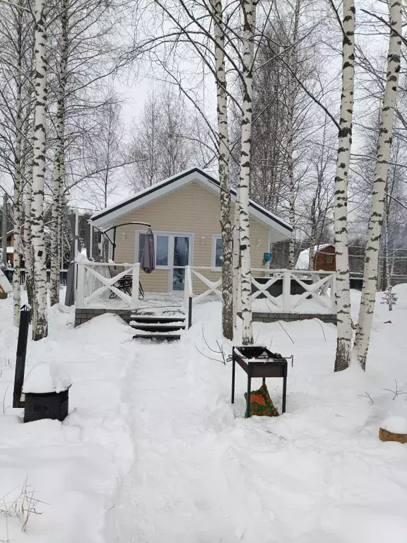 дом городской округ Сергиево-Посадский д Пузино 21, Сергиев Посад фото 48