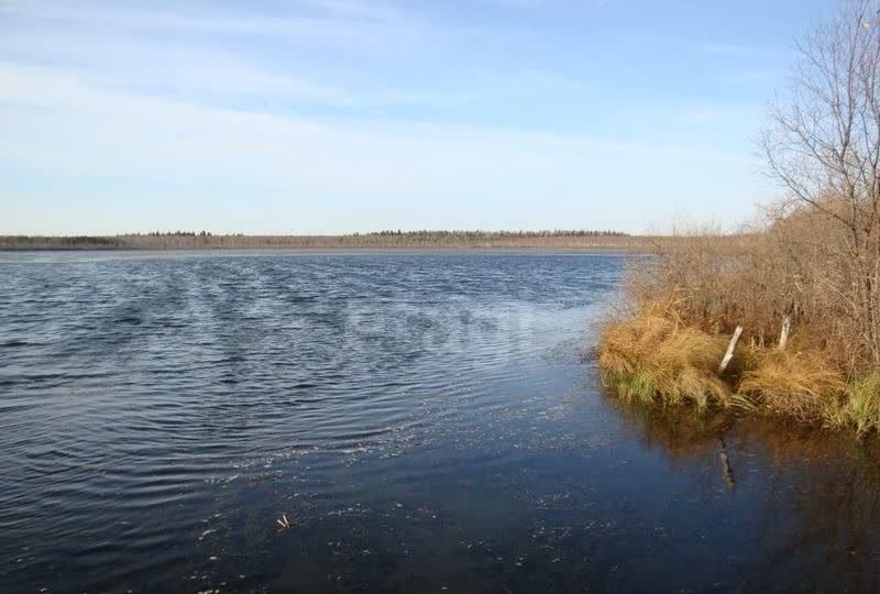 земля р-н Нижнетавдинский коттеджный пос. Земляника, Тюмень фото 11