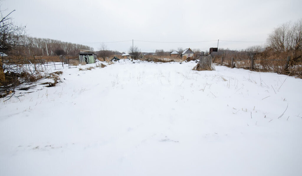 земля г Ялуторовск садово-огородническое некоммерческое товарищество Пустошкино фото 7