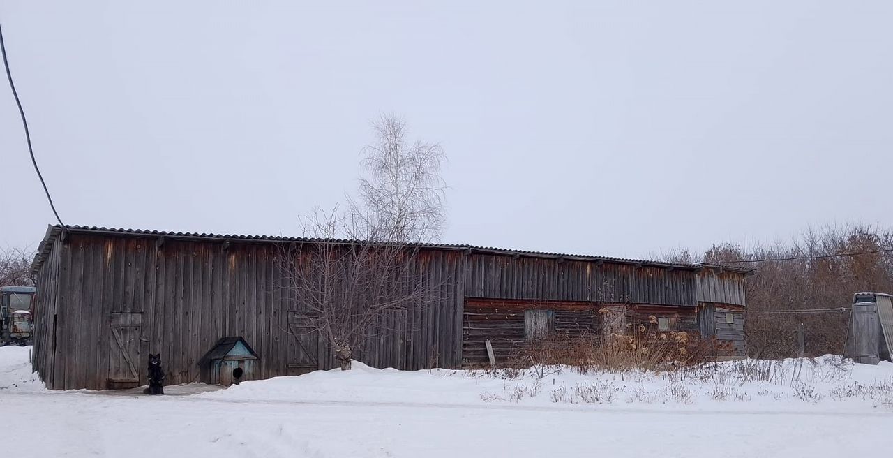 дом р-н Солтонский с Ненинка ул Сибирская Солтон фото 7