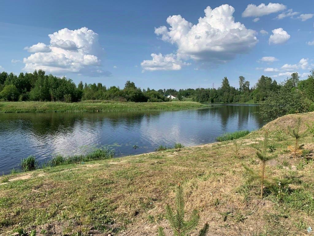 дом р-н Кировский г Отрадное ул Октябрьская Отрадненское городское поселение фото 10