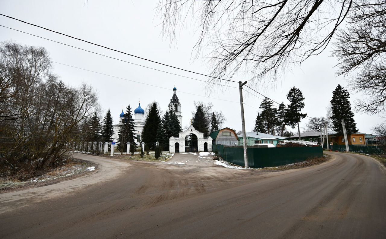 дом городской округ Павловский Посад с Казанское 45 км, Электросталь, Носовихинское шоссе фото 1