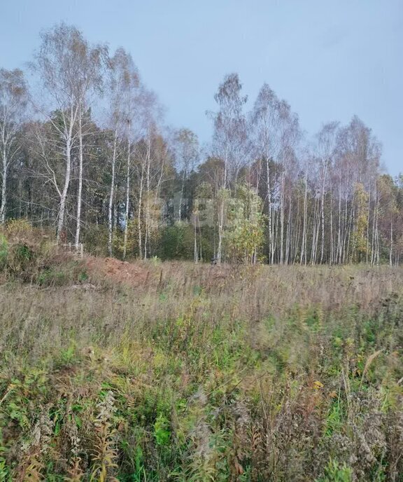 земля р-н Ленинский д Струково городской округ Тула фото 9